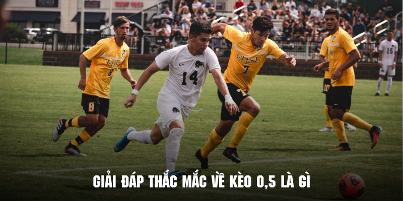 Làm rõ thuật ngữ kèo 0,5 là gì dành cho fan hâm mộ bóng đá tại 99ok