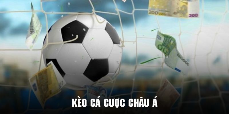 Tìm hiểu vài nét về kèo cá cược châu Á cực hot tại 99OK