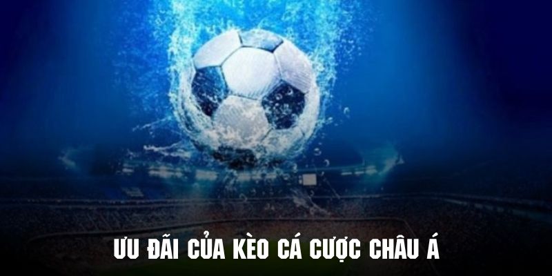 Hội viên sẽ có cơ hội nhận các khuyến mãi của kèo cá cược châu Á